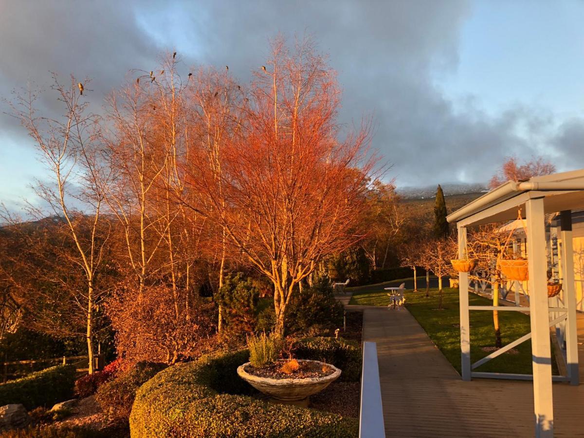 Mole Creek Hideaway Hotel Kültér fotó